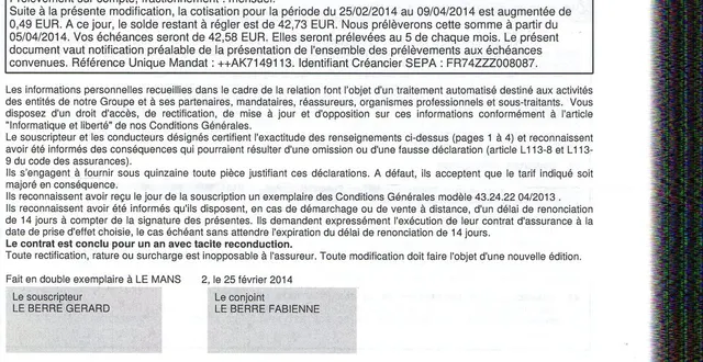 photo aménagement végétal de terrasse