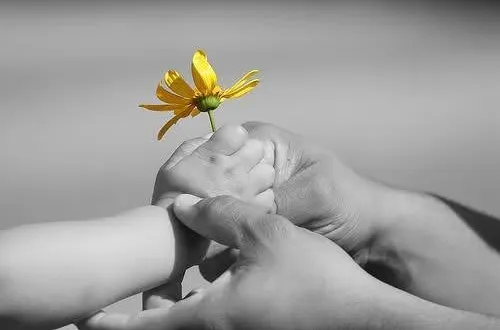 photo accompagnement de la relation adulte - enfant