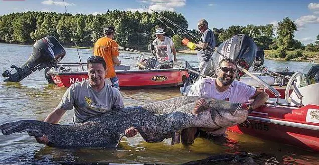 photo port de gennes, samedi. les pêcheurs de l'association 