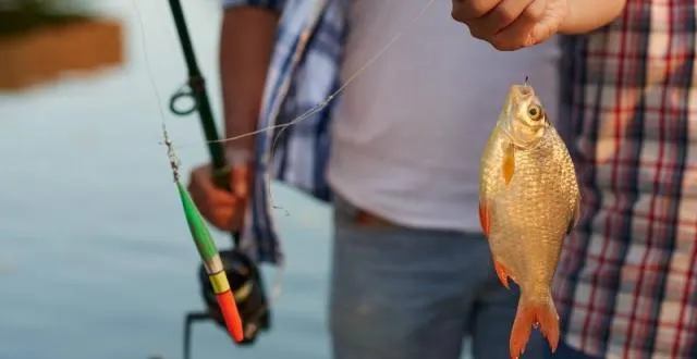photo la carpe se pêche de préférence la nuit. mais pourquoi donc? &copy; dragonimages
