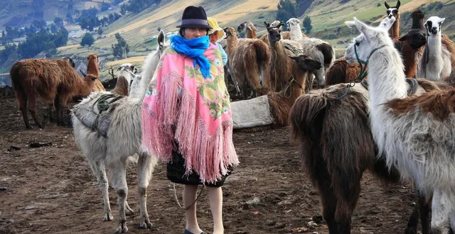 photo bergère en equateur