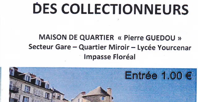 photo salon des collectinneurs