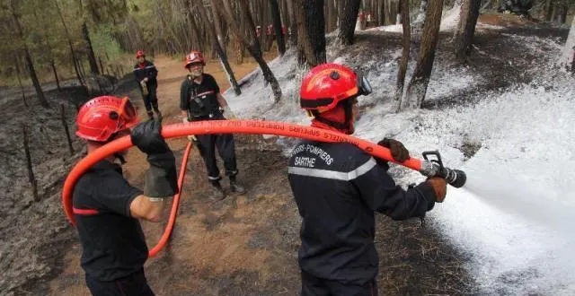 photo les pompiers de la sarthe se sont constitués parties civiles. les incendies volontaires ont coûté plus de 200 000 €. &copy; archives ouest-france