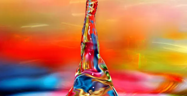 photo contact improvisation et life art process 20 au 22 janvier 2017