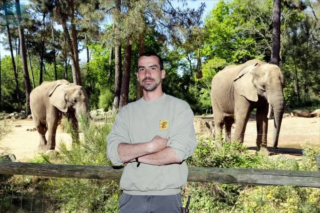 Doctor Who émission De Télévision Saison 5 lemans.maville.com