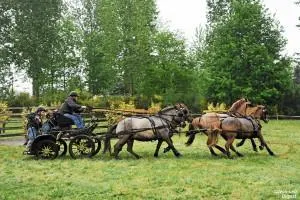 photo marathon beaufay