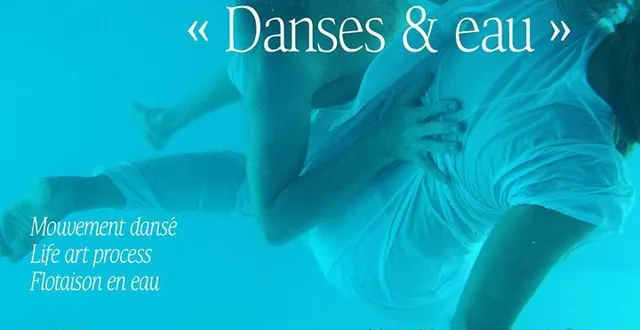 photo danse d’eau, de terre et d’air du 05 au 07 mai 2017