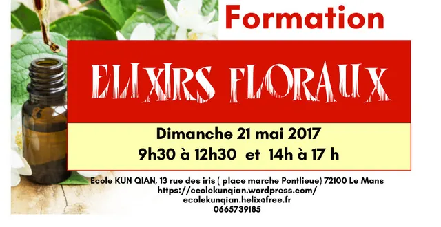 photo atelier elixirs floraux