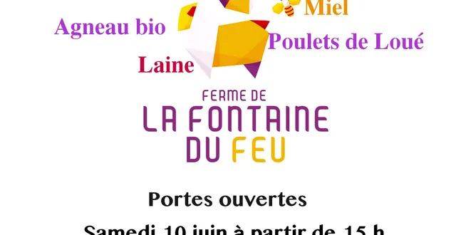 photo apéro-concert bio