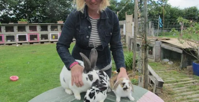 photo christèle saillard présente trois tailles de lapins. &copy; ouest-france