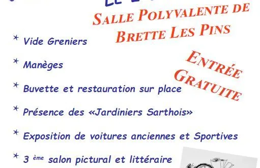photo vide-greniers de brette animation