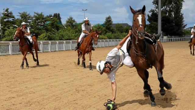 Horse Ball : Boutique du cheval, équitation et des sports équestres