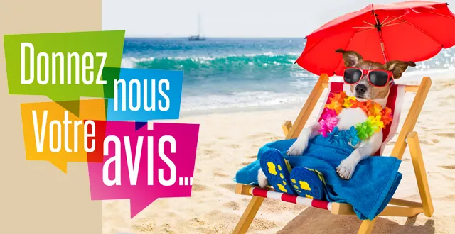 photo [debat] pour ou contre les chiens à la plage ?