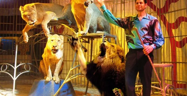 photo le dompteur mordon & ses fauves