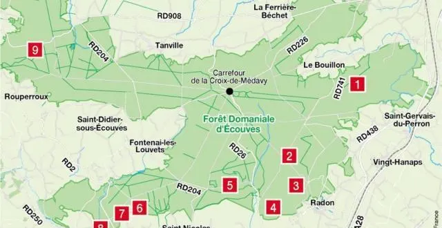 photo neuf arbres remarquables se cachent dans la forêt d'ecouves. &copy; of - autog n r