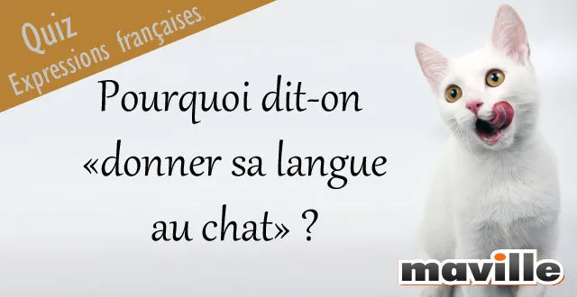 photo [quiz] les expressions françaises en 10 questions !