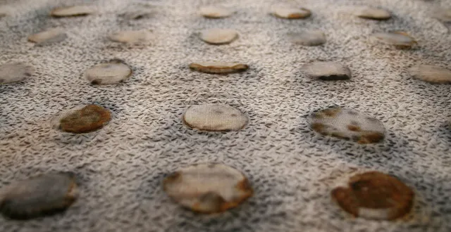 photo broderies autour d'un objet à trouver ... réponse sur le site de l'exposition...