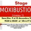 photo stage moxibustion chinoise