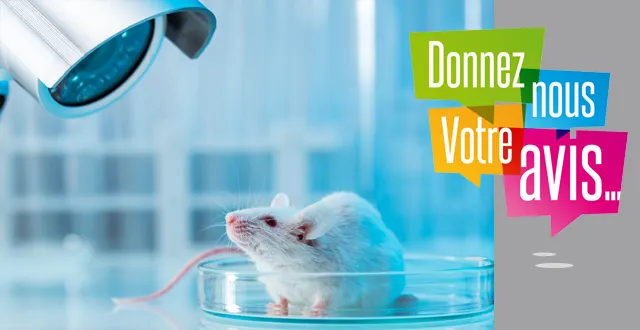 photo [debat] faut-il interdire les expérimentations médicales sur les animaux ?