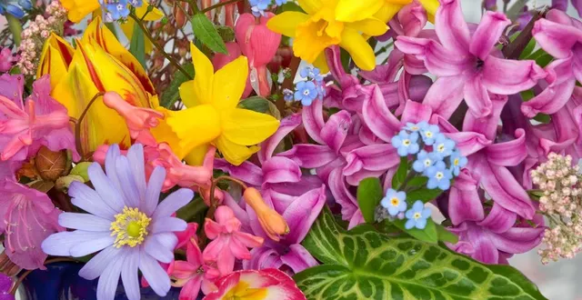 photo portes ouvertes aux serres du c.i.a.t à trélazé