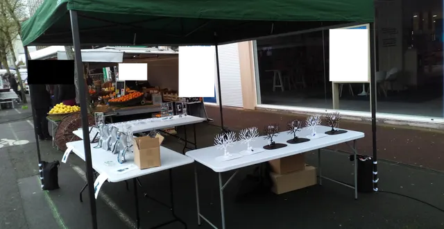 photo angevinfancy place lafayette angers