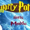 photo [quiz] harry potter. avez-vous le niveau moldu ?