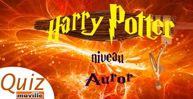 photo [quiz] harry potter. avez-vous le niveau auror ?