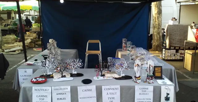 photo angevinfancy place lafayette angers