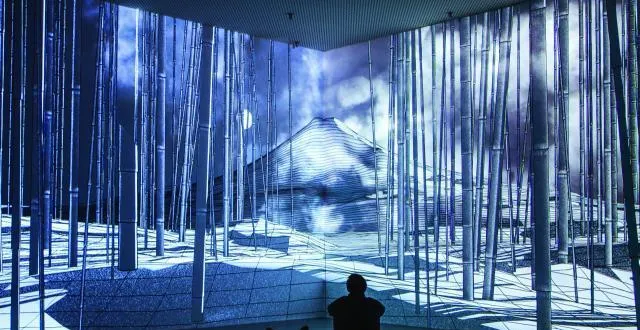 photo «?fuji?» de joanie lemercier, une première française à découvrir au pavillon. &copy; david hanko