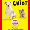 photo salon du chiot