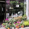 photo magasin fleurs st laud