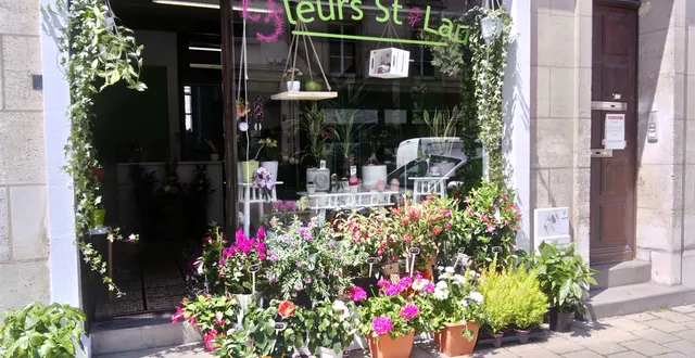 photo magasin fleurs st laud