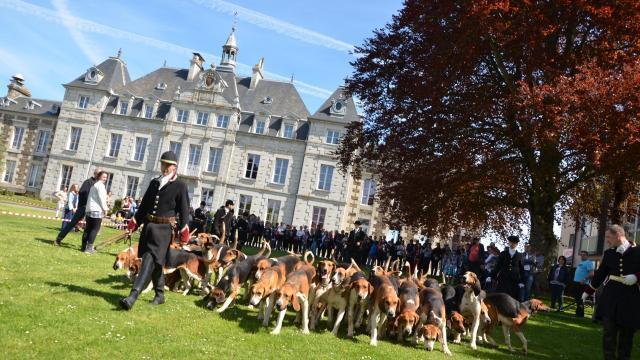 L'héritier de Louis Vuitton perd son droit de chasse à courre en Normandie