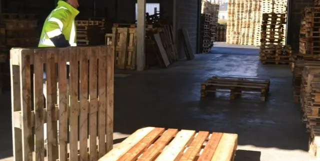 photo responsable trieur/réparateur de palettes polyvalent