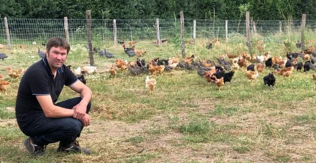 photo cédric babin s’est installé en juin 2014 en production de volailles bio. &copy; ouest-france