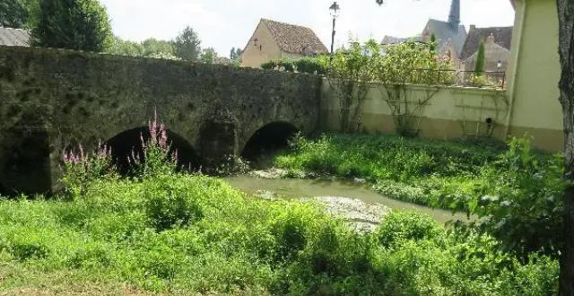 photo un petit jardin bucolique accueillait les mariages, en été, jusqu’en 2006. &copy; ouest france