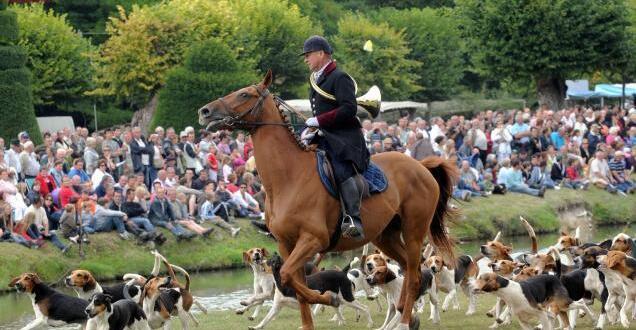 Saumurois. La f te de la chasse sur un nouveau site Angers