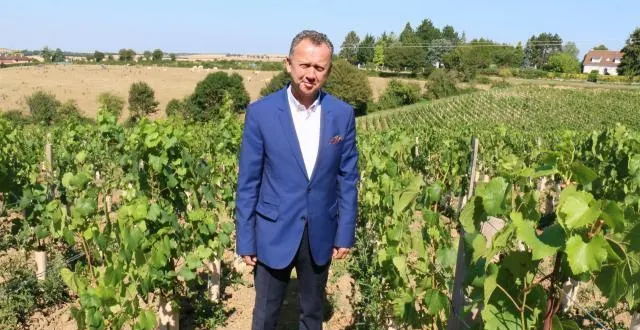 photo grégory russel dans les vignes de chardonnay, où 9?000?pieds sont plantés par hectare. &copy; ouest-france
