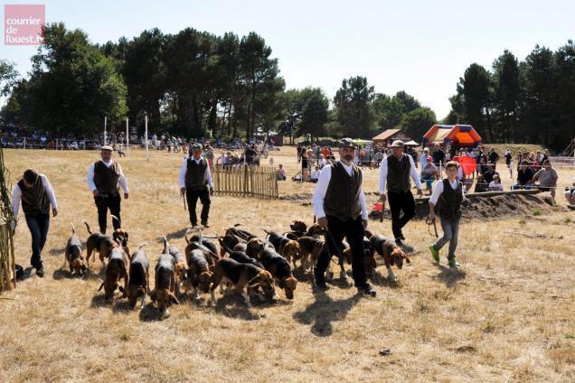 Vernoil le Fourrier. Une bonne f te de la chasse Angers.maville