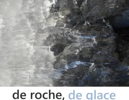 photo exposition photo 