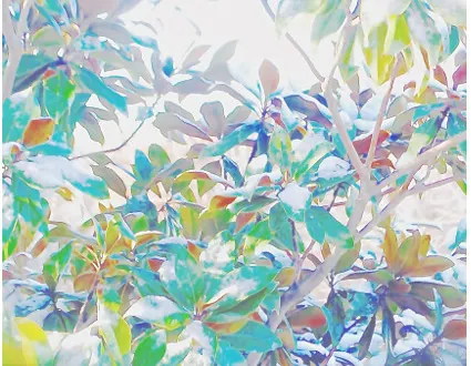 photo exposition photo de lou jô