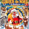 photo cirque de noel d'angers