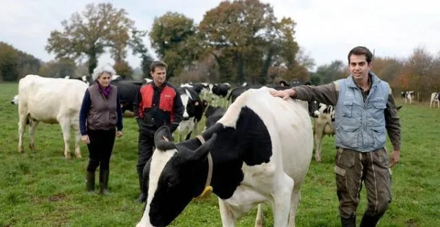 photo la famille de léo colas, 23 ans, se convertit à l’agriculture biologique et va créer sa propre yaourterie à la ferme. &copy; (photo : marc ollivier / ouest-france)