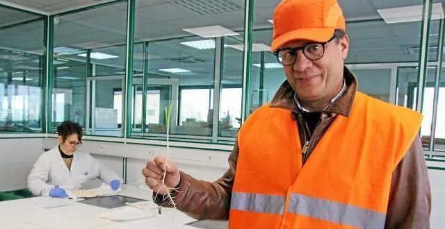 photo luc saint-bonnet, directeur général du pôle semences de terrena. &copy; ouest-france