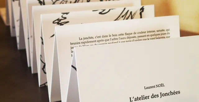 photo aperçu du leporello