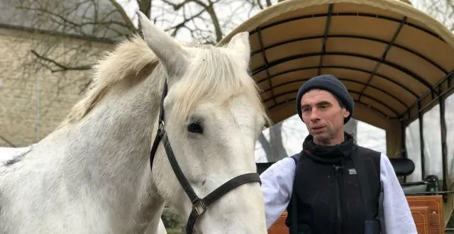 photo stéphane alenne tient les rênes de la calèche d’argentan depuis vingt ans. annabelle, un percheron de 10 ans, est l’alliée préférée du cocher. &copy; ouest-france