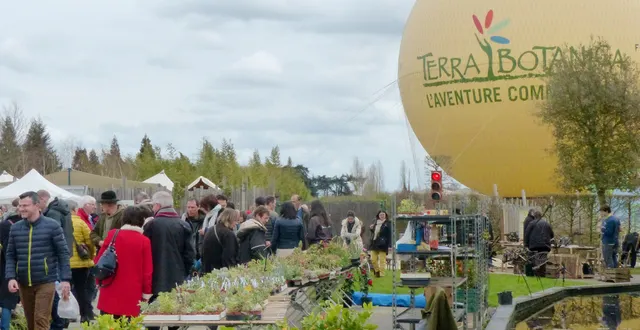 photo les printemps de terra 2019