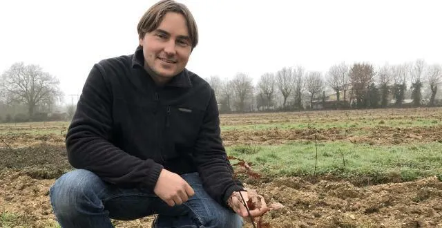 photo samuel hermouet, gestionnaire de forêt, aux essarts, a acheté 23?ha de terre en friche, à apremont, près de challans, pour les reboiser.. &copy; ouest-france