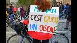 photo https://www.youtube.com/watch?v=dp5u-kulocm