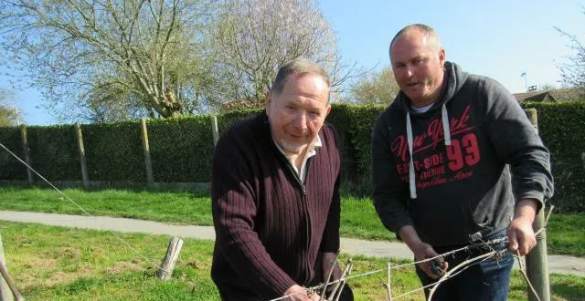 photo philippe bouvier et marc huette, dit marco, ont procédé à la taille de la vigne,en compagnie des vignerons du hanap. &copy; ouest-france